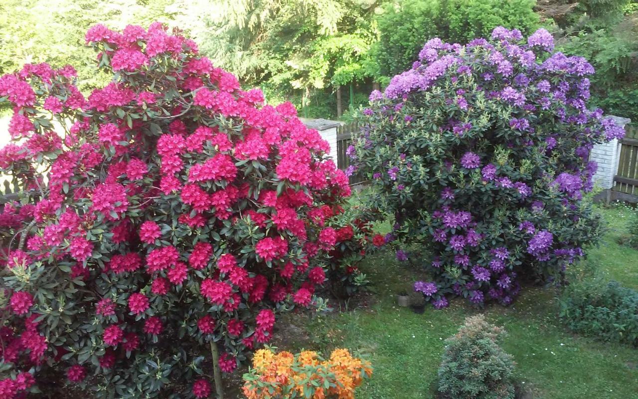 Willa Wadowicka Wadowice Ngoại thất bức ảnh
